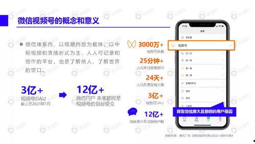 沙雕爆料小故事视频下载,揭秘热门视频背后的趣味故事 第1张 沙雕爆料小故事视频下载,揭秘热门视频背后的趣味故事 第1张